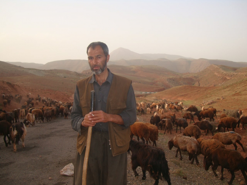 جواد  آقا چوپان  روستای لیقوان - تبریز - عکس از بابک وحیدی آذر -Babak  Vahidi Azar
